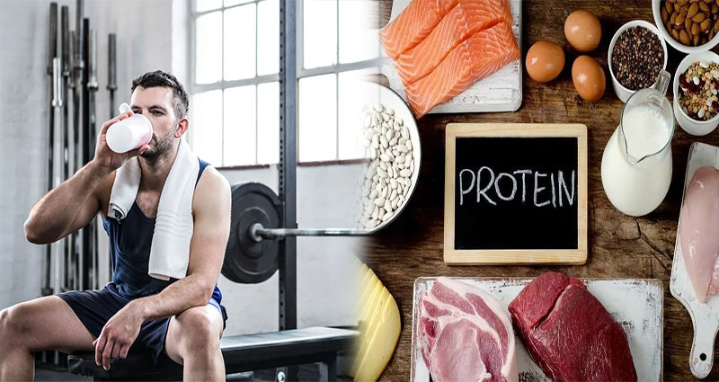 Best Time to Eat Protein For Muscle Growth and Repair