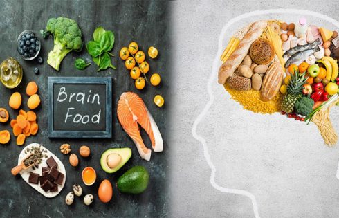 Exercise Nutrition and the Brain